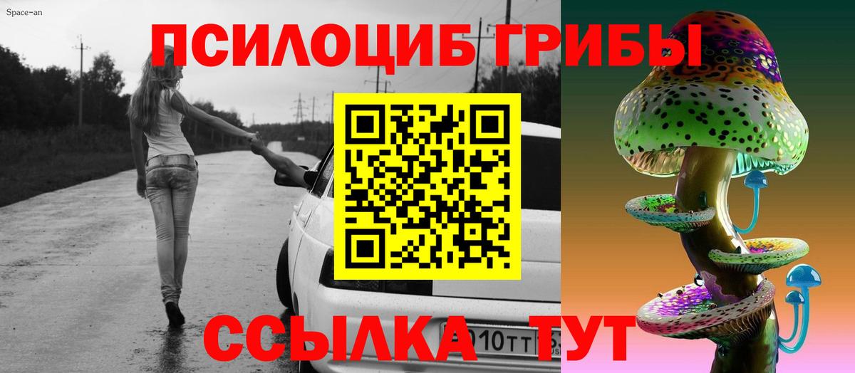 Электросталь  Псилоцибиновые грибы GOLDEN TEACHER  Вход с VPN  где можно купить наркотик  Галлюциногенные грибы мухоморы 